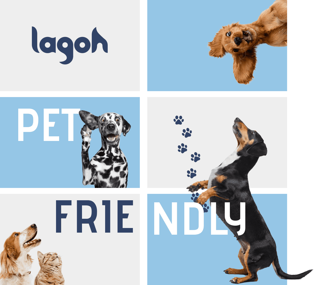 Lagoh Pet Friendly