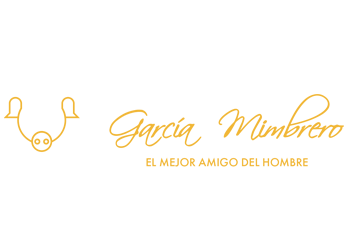 García Mimbrero